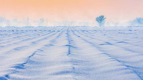 outdoors white sand during daytime field