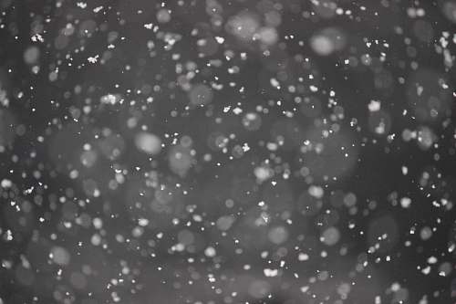 black-and-white bokeh photography of snows grey