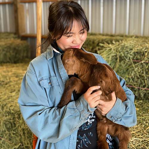 doctor boy in blue jacket carrying brown short coated dog person