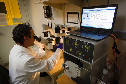 person man looking at microscope computer