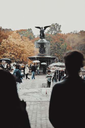 person people walking on street during daytime water