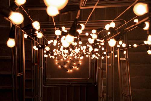 light turned-on string lights new york
