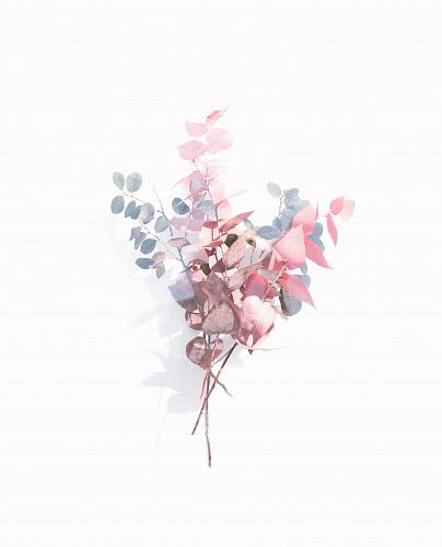 pink and blue silver dollar eucalyptus leaves on white surface