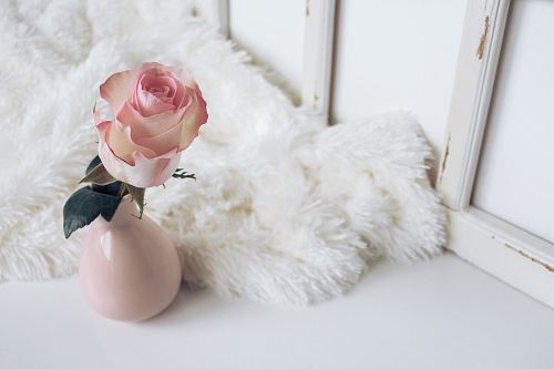 white artificial flower