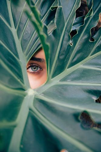 woman peeking over green leaf plant taken at daytime