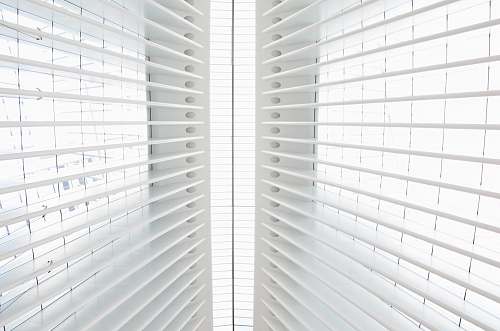 black-and-white White ribs in the ceiling of the WTC transit hub grey