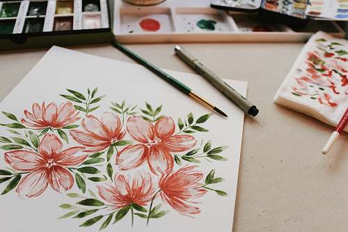 draw red petaled flower painting paint