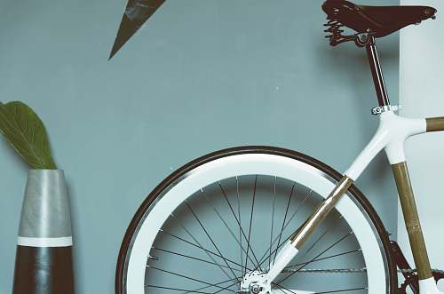 kite bike near wall and pot with plant toy