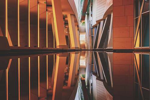 paris brown and black narrow building with reflection on the water photography france