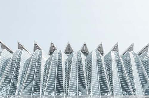 architecture curtain wall building under clear sky city