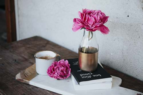 book pink petaled flower on bottle peony