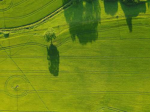 field aerial photography of green field aerial view