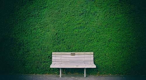 bench empty white wooden bench beside green wall park bench