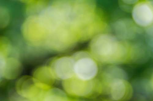background green and yellow light bokeh texture