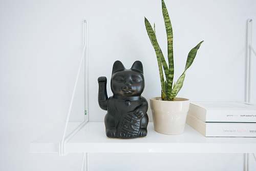 plant black manekineko cat near white potted green leaf plant book
