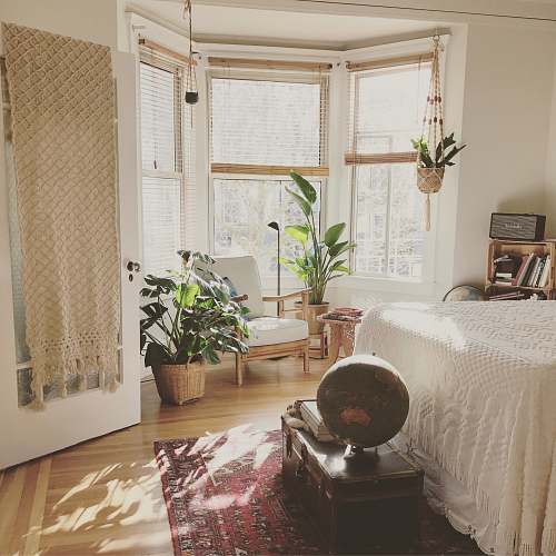 plant brown wooden framed white padded chair in between green indoor leaf plants inside bedroom bedroom