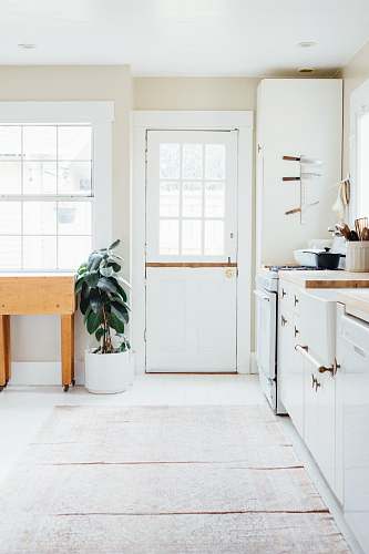 home green potted leaf plant beside white wooden door kitchen