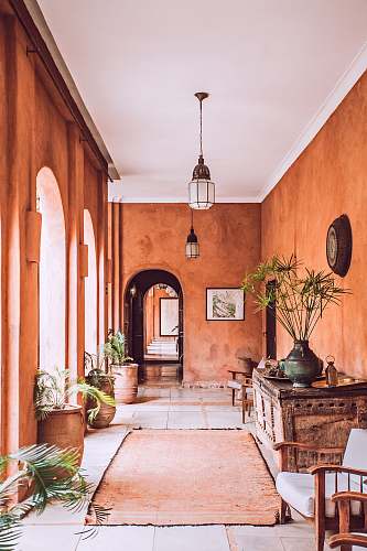 plant planters with plant near area rug inside room morocco