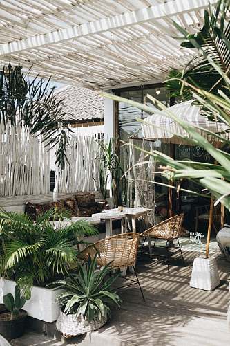 home white table with brown wicker chair beside plants plant