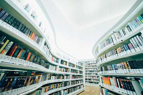 library low-angle photo of white bookshelves with assorted book lot inside room indoors