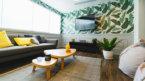 interior photo of flat screen television plant