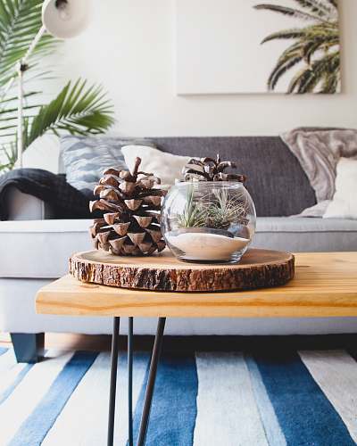 interior clear fishbowl beside pine cones on brown wooden table home