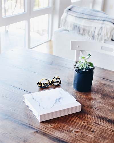 interior hardbound book beside eyeglasses and succulent plant on table inside room book