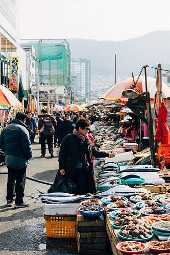 person people walking on street during daytime market
