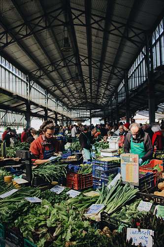 human man sitting near the vegetable person