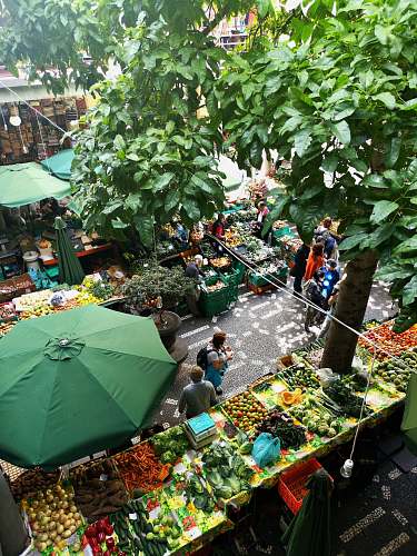 human people standing near patio umbrella surrounded with fruits and vegetable stalls person