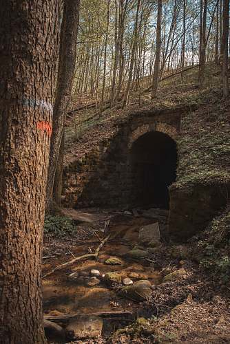 alytus tunnel in the forest during day lithuania