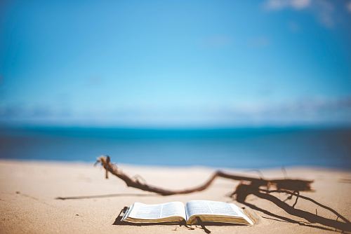 opened book near brown wood branch on sand under blue sky