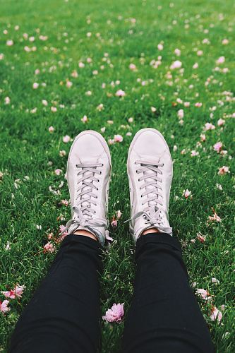 person laying on grass