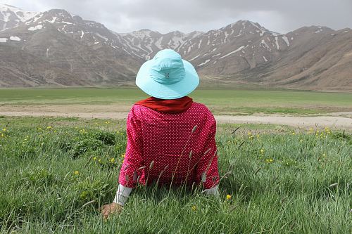person sitting in green grass lawn