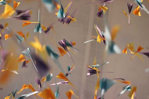 paper assorted-color paper cranes hanging around the room origami