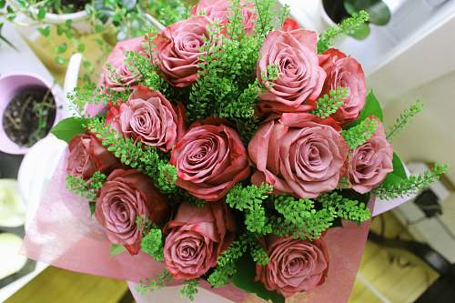 graphics pink rose bouquet floral design