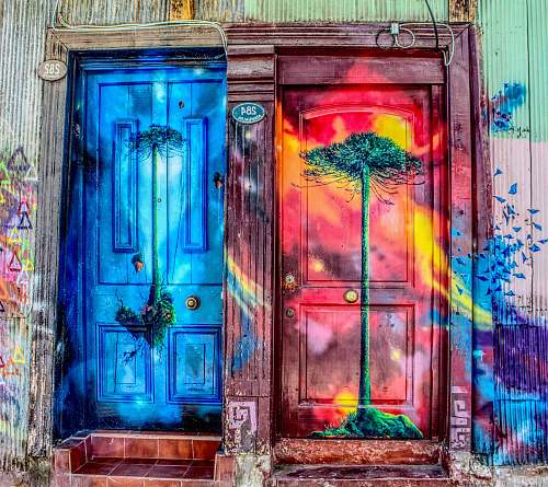 door tree printed and multicolored closed doors street art