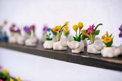 blossom white ceramic elephant pot flower