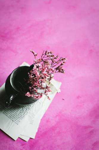 ikebana pink petaled flowers on teacup vase