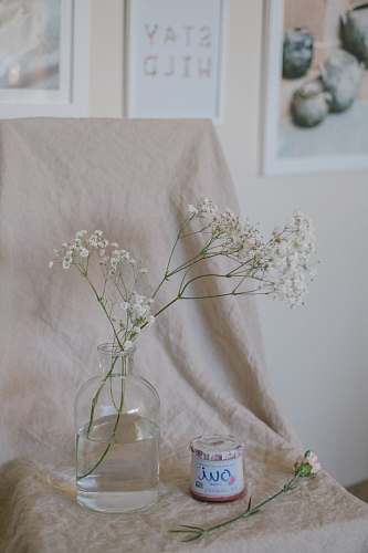 vase  flower arrangement