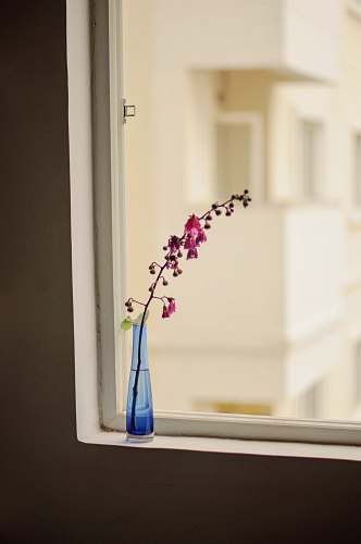 ikebana purple-petaled flowers vase