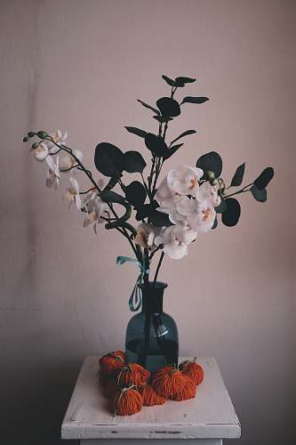 plant white flower bouquet inside blue glass vase vase