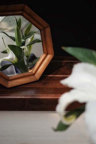 art yellow and green flower on brown frames ornament