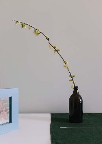 blossom yellow-petaled flower on bottle art