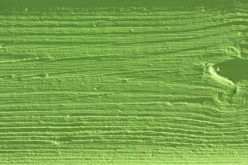 texture  botanic gardens