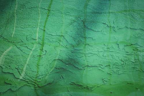 graciosa aerial view photography of body of water portugal