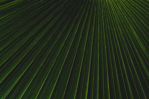 texture green and white stripe textile light