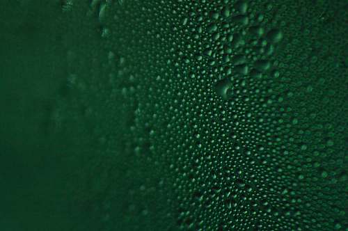 texture green moist fish