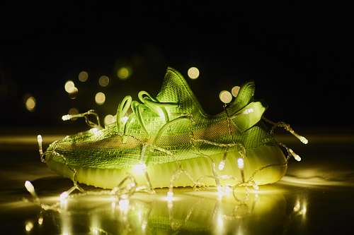 lizard lighted green adidas sneaker animal