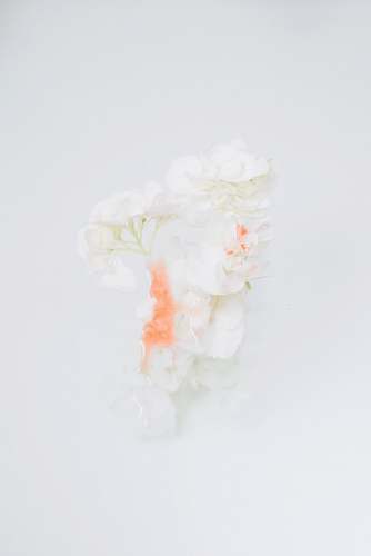 porcelain  art